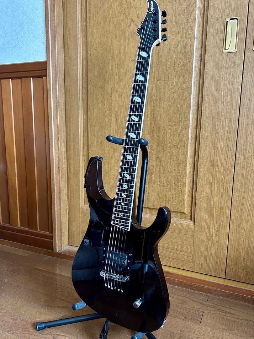 Caparison TAT FX 美品 BW搭載 純正ケース付