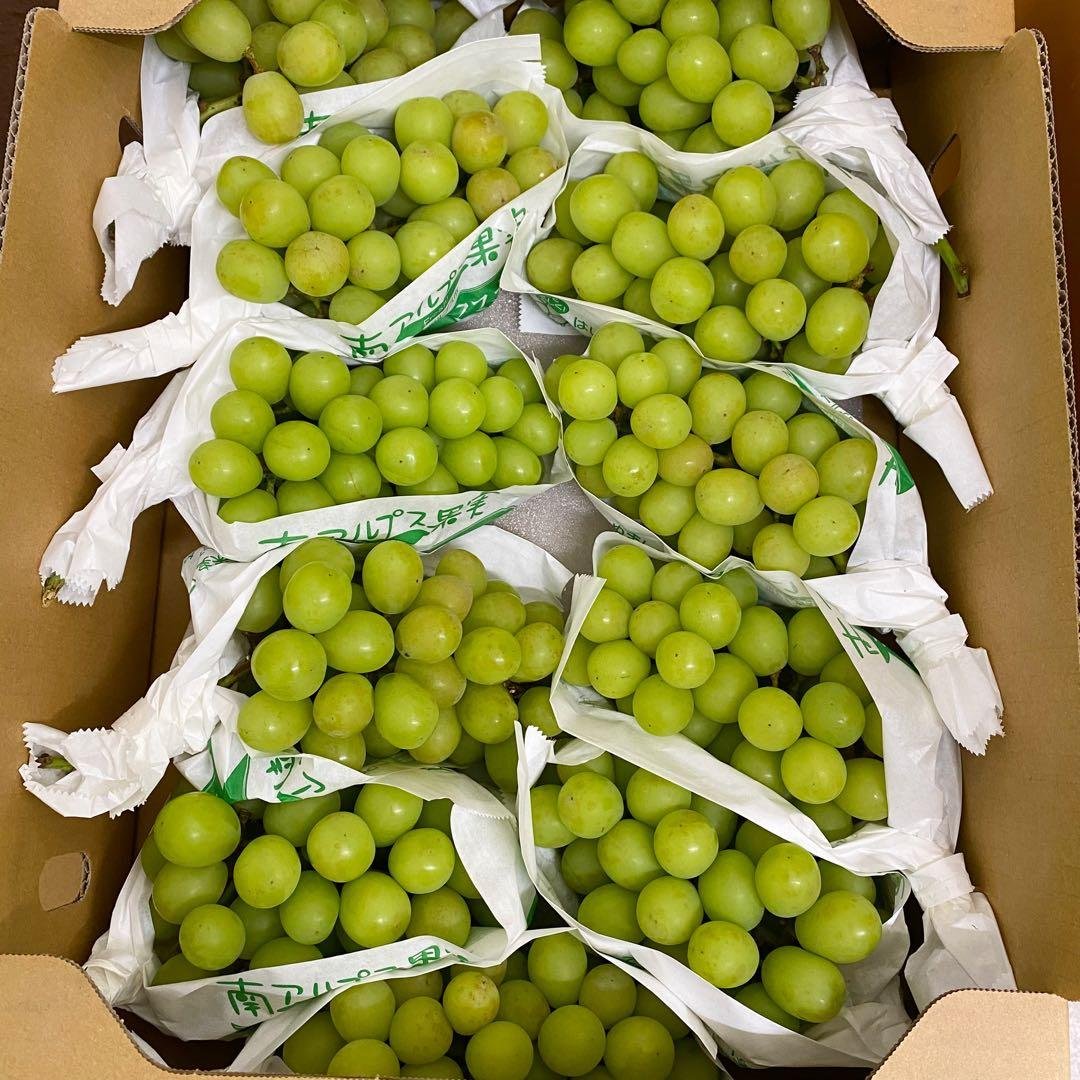 山梨県産　訳あり　家庭用　シャインマスカット　11房　箱込み5.6kg ⑭