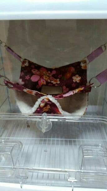 モモンガハウス(和柄・紫)かのこボアオフホワイト   大きいサイズ(家族用)